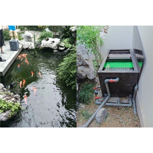 魚(yú)池過(guò)濾系統(tǒng)